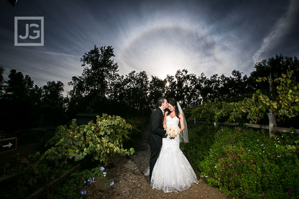 Lake Oak Meadows Wedding Photography