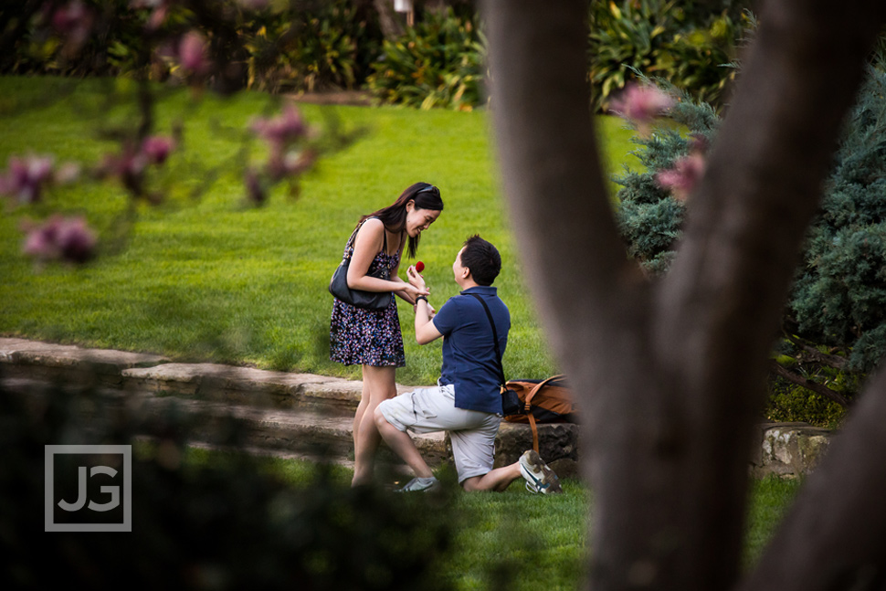 Santa Barbara Courthouse Engagement Proposal
