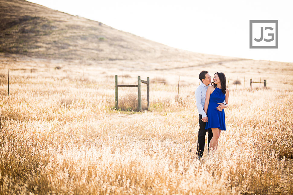 Golden Field Engagement Photography