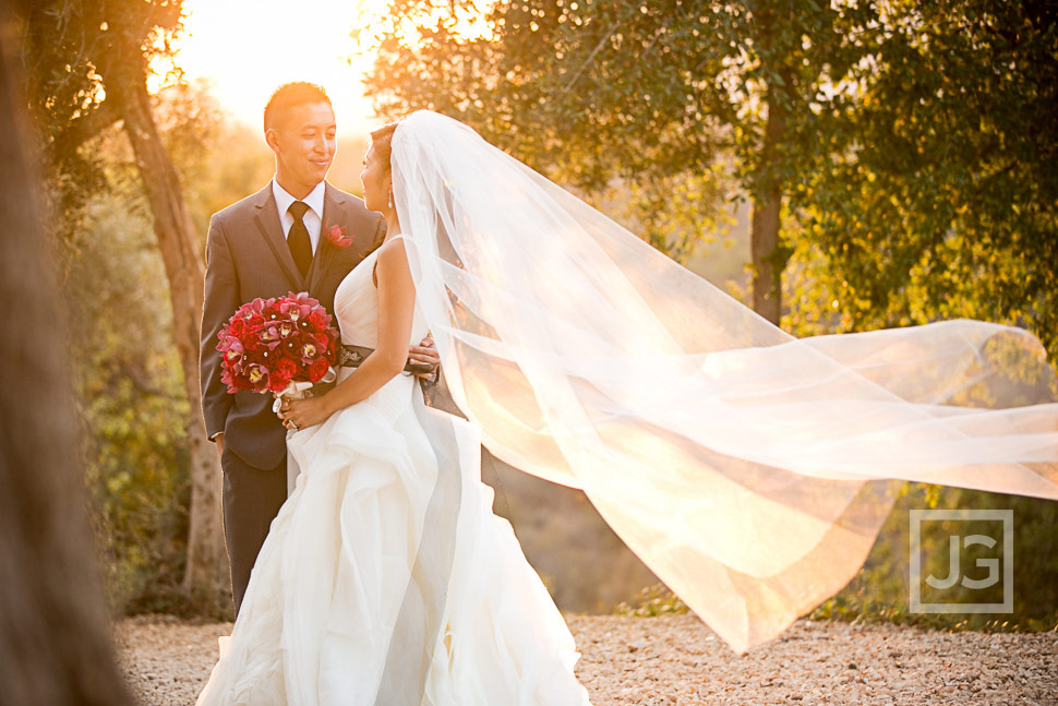 Padua Wedding Photography