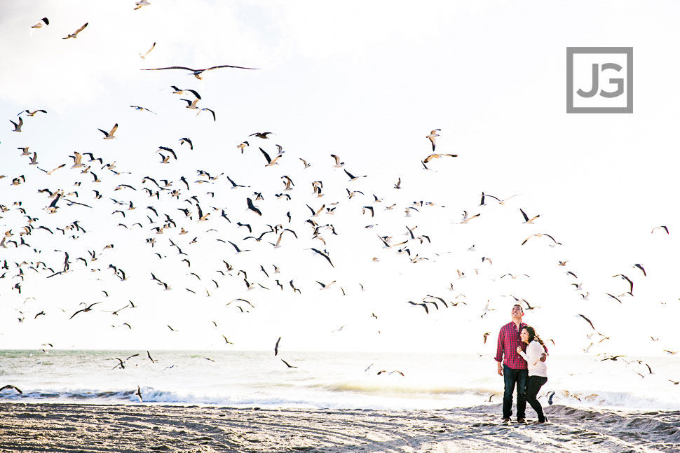 Engagement Photography with Seagulls