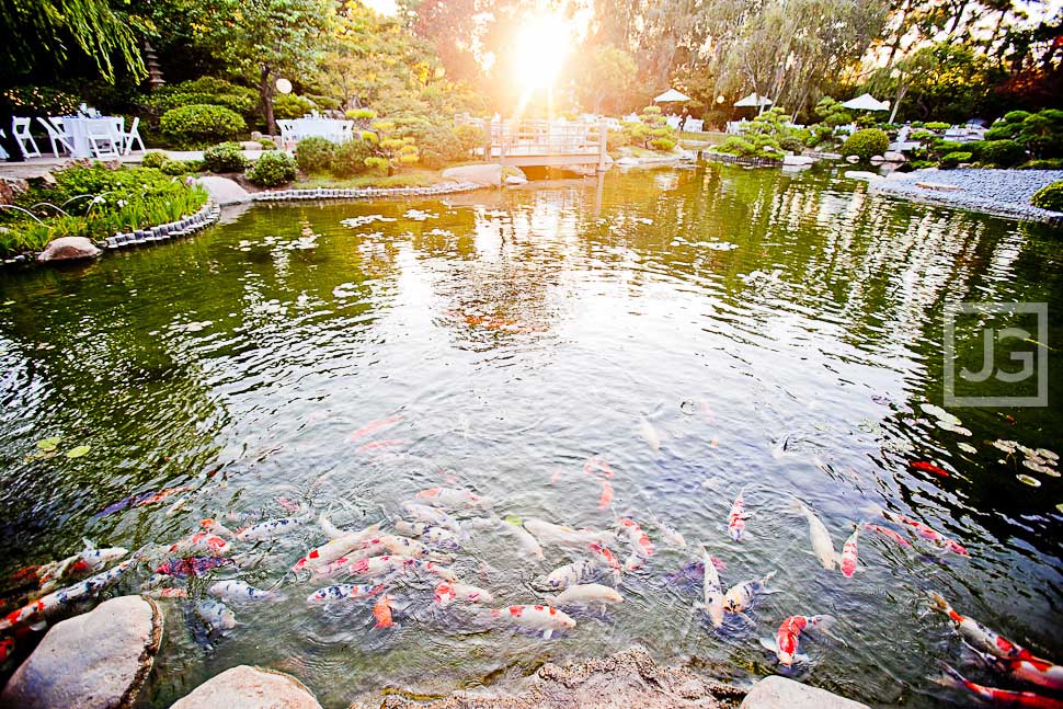 CSULB Japanese Garden Wedding Reception