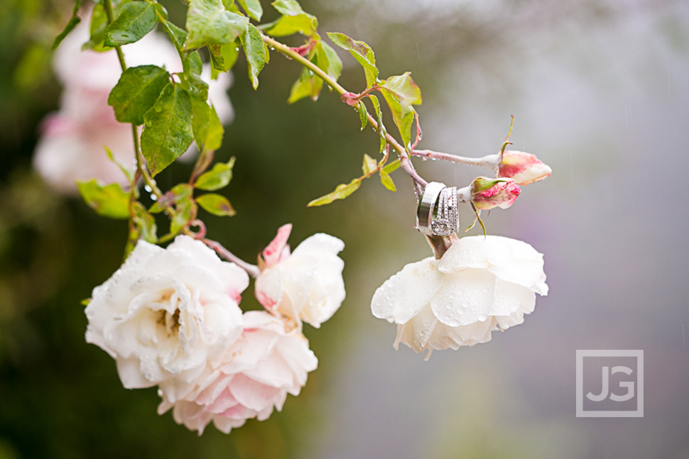 Wedding Ring Photo