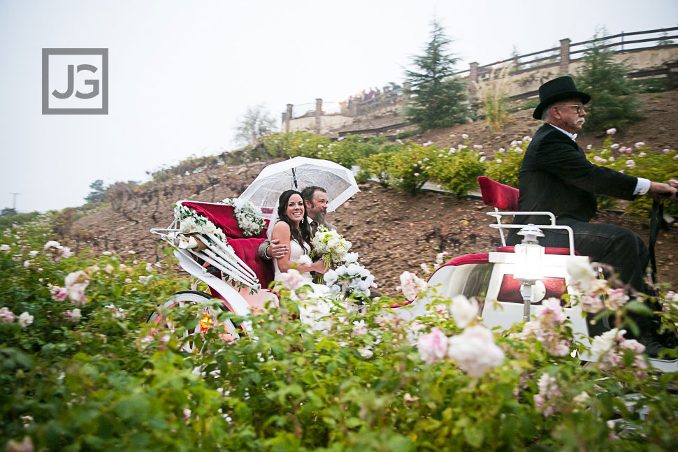 Serendipity Garden Wedding Ceremony Carriage