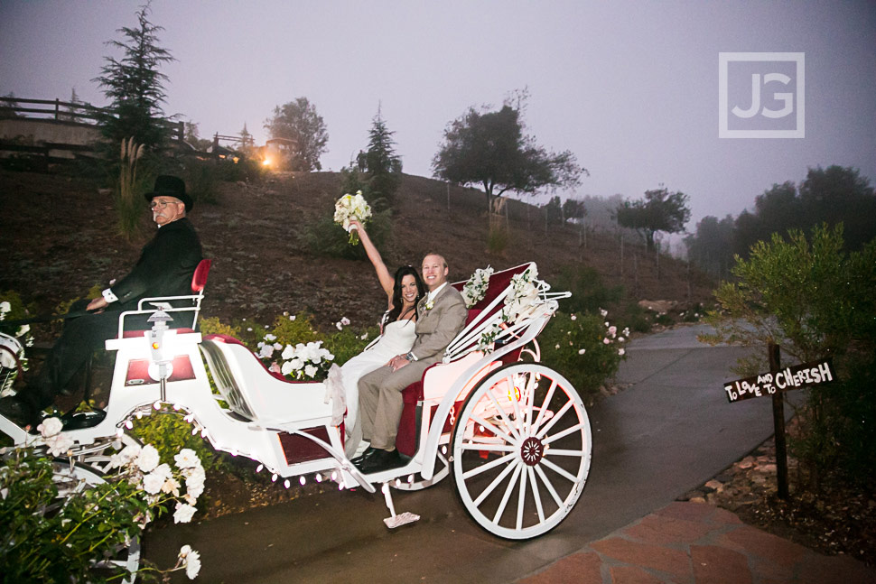Serendipity Garden Wedding Carriage