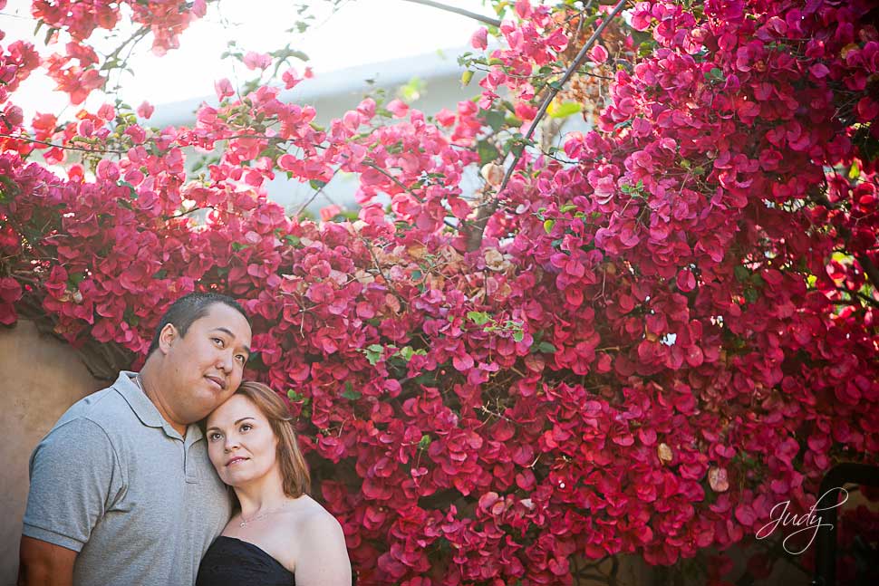 Laguna Beach Engagement Photos