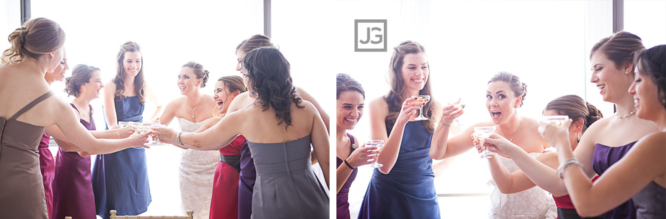 Wedding Party at the Vineyards