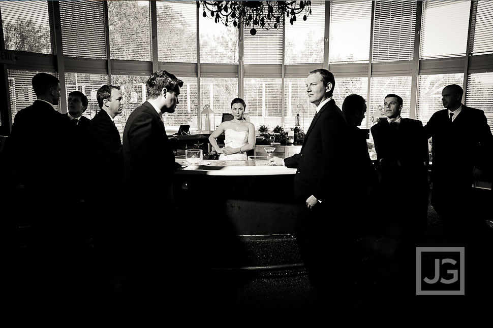 Wedding Party at the Vineyards