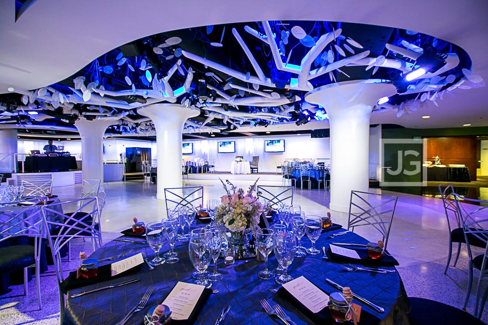 Celebrations Turnip Rose Reception Ballroom