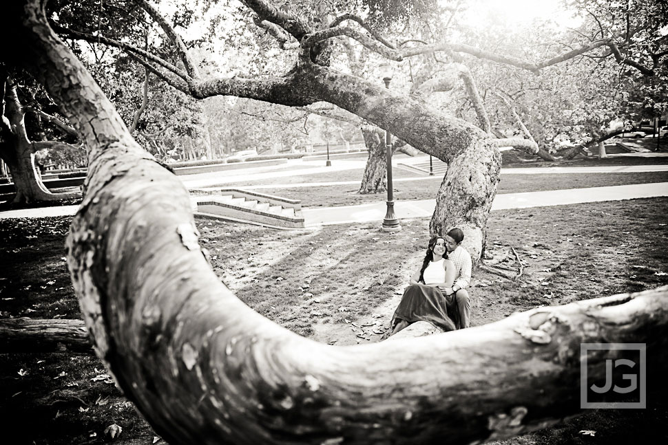 Trees at UCLA