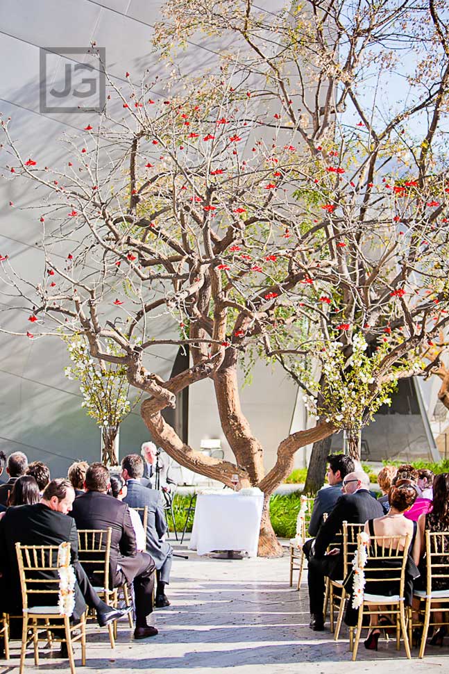 Walt Disney Concert Hall Wedding Ceremony