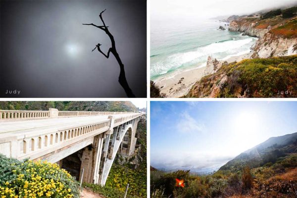 Read more about the article Judy & Gavin | 17-Mile Drive and Big Sur