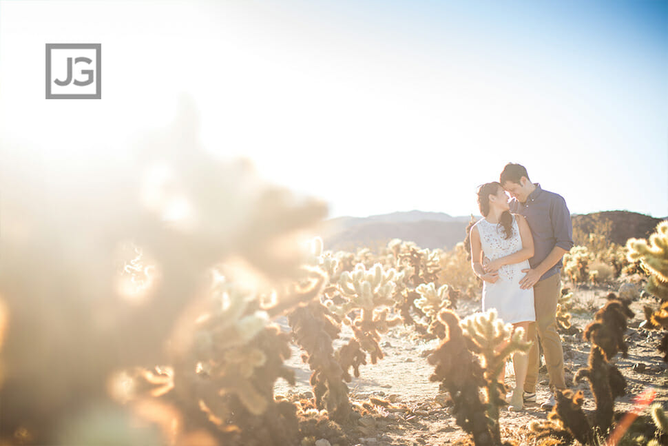 Joshua Tree Engagement Photos with Cactus