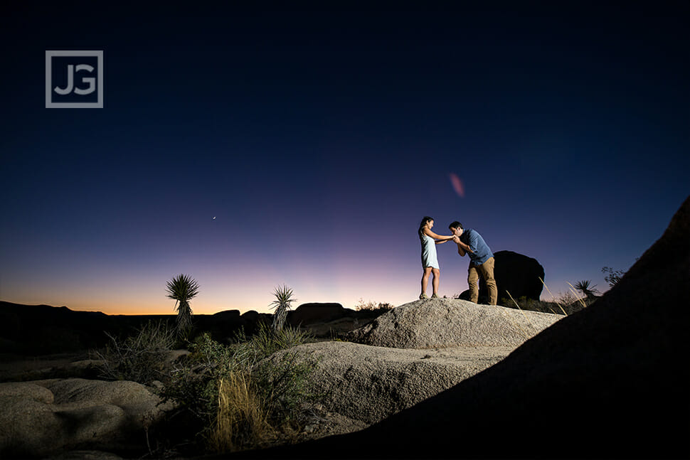 Joshua Tree at night