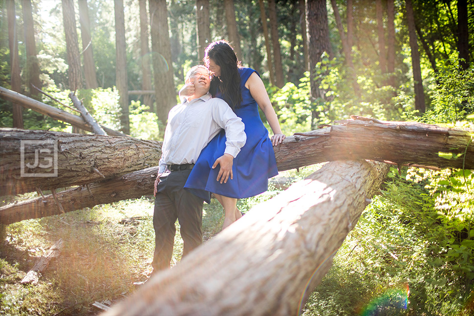 Yosemite Forest Engagement Photo