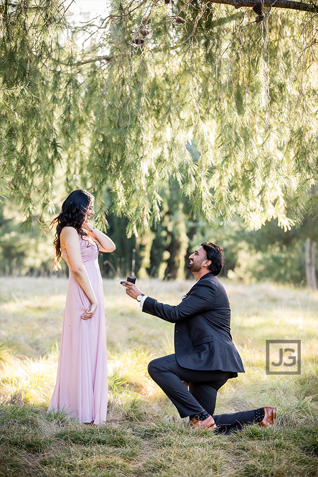 Engagement Proposal Irvine