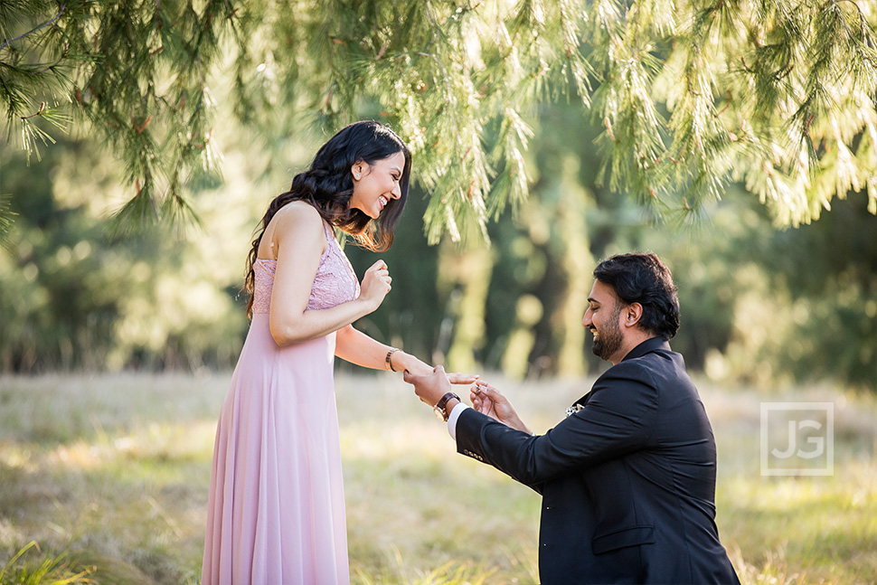 Engagement Proposal in Orange County