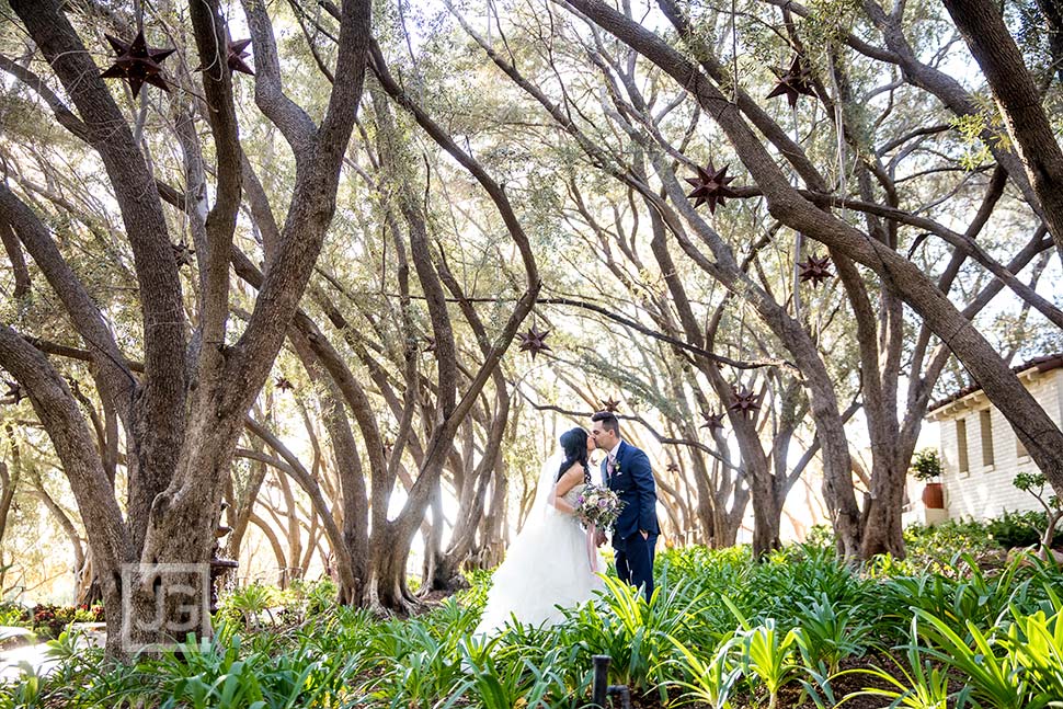 Olive Orchard Wedding Photo