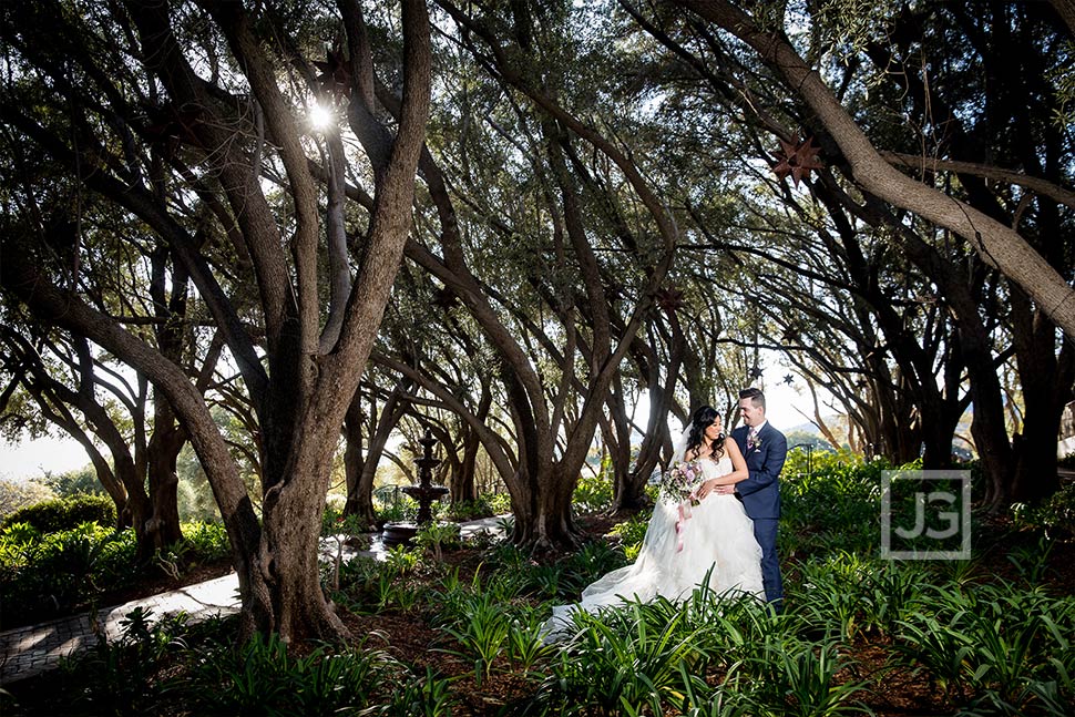 Olive Orchard Wedding Photo