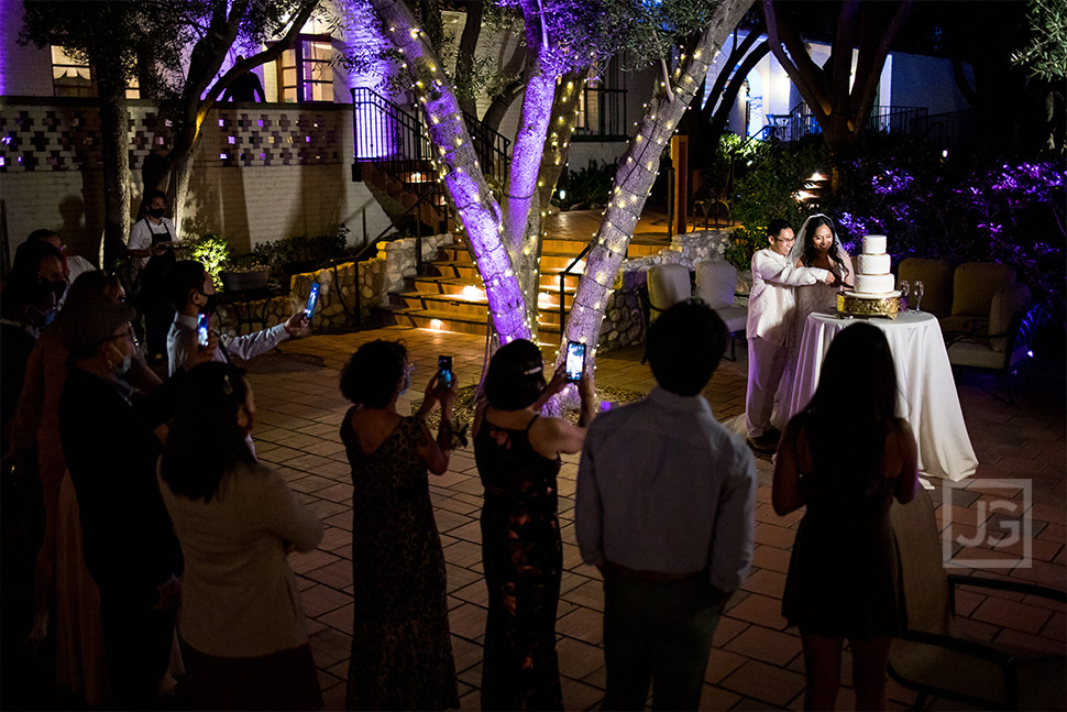 Micro Wedding Cake Cutting Ceremony