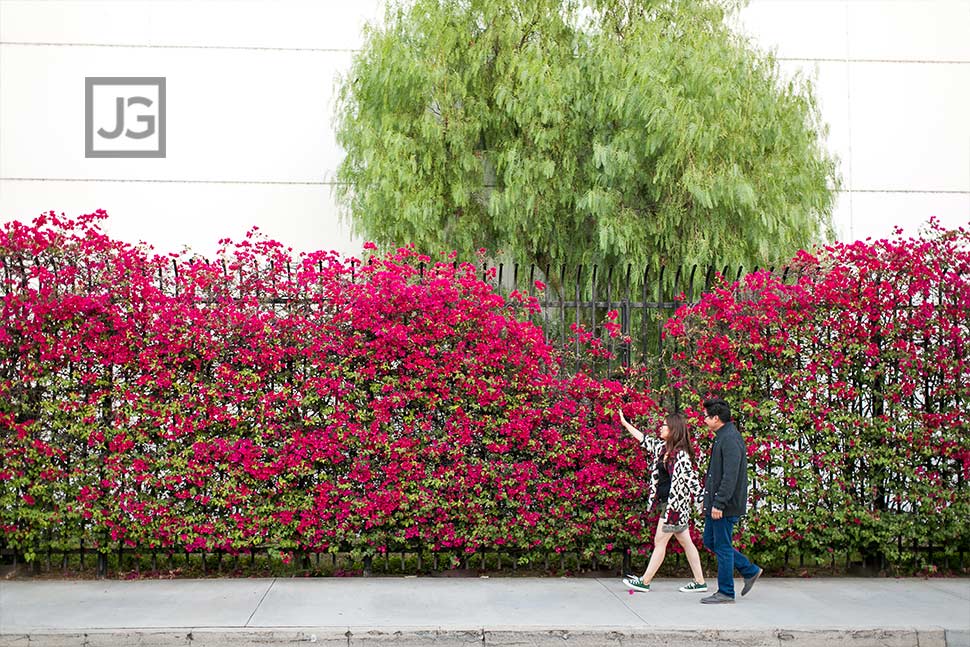 Engagement Photography with Red Flowers