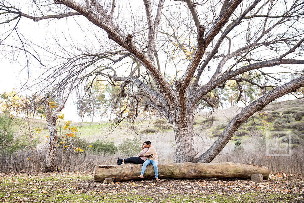 Bonelli Park Engagement Photography with a Large Log