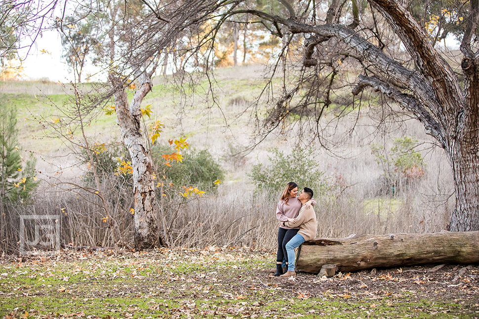 Bonelli Park Engagement Photography under a Tree