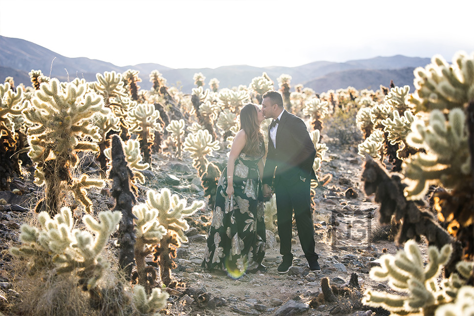 Engagement Photos in the Desert