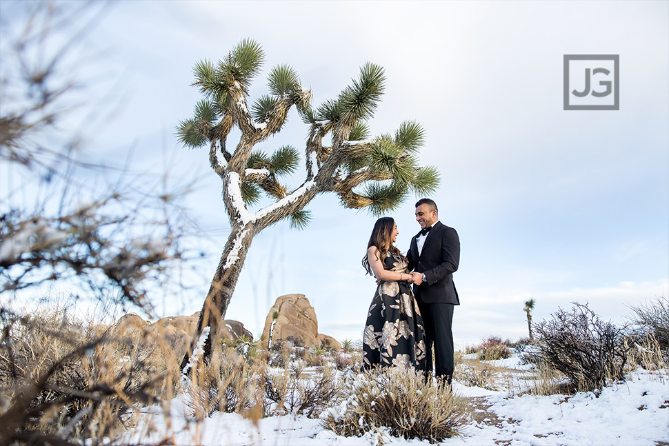 Engagement Photos in Joshua Tree