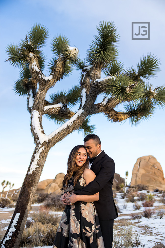 Snow on a Joshua Tree