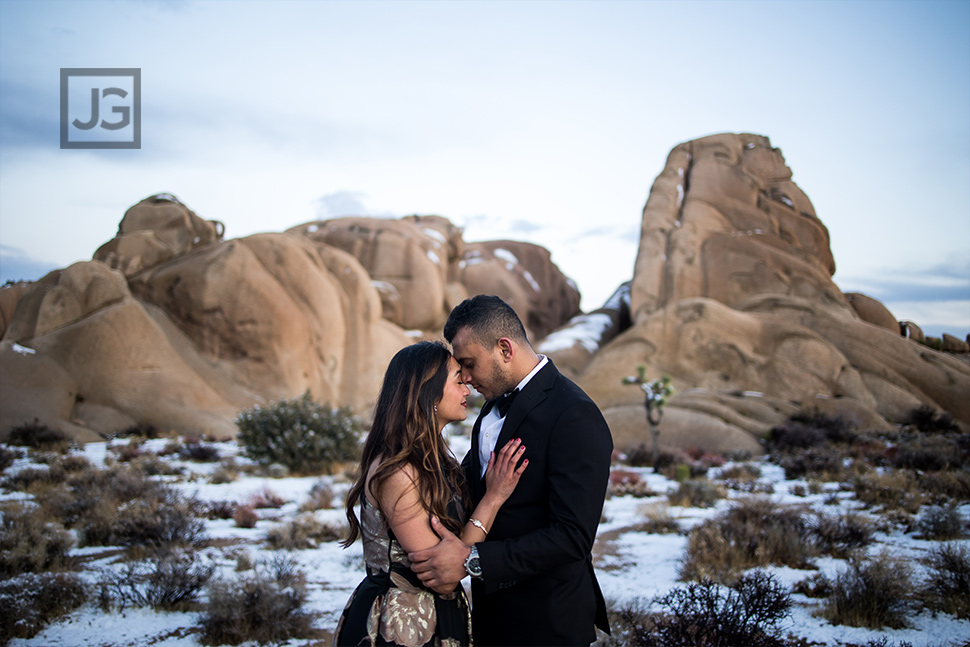 Joshua Tree Photo with Large Rocks