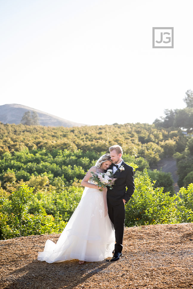 Quail Ranch Wedding Photos Avocado Orchard