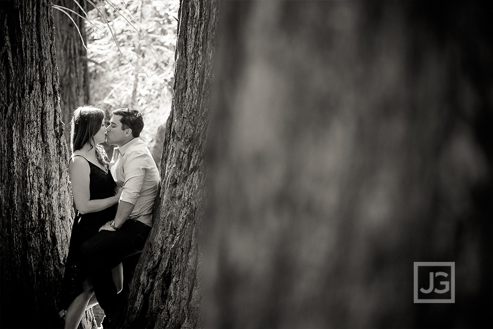 Large Trees Engagement Photos