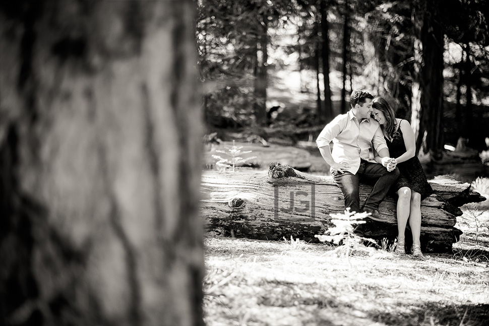 Engagement Photography in the Forest