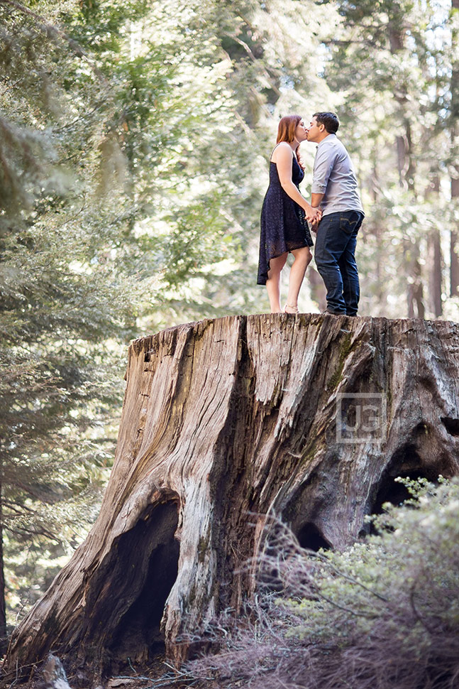 Engagement Photo on Tree Stump