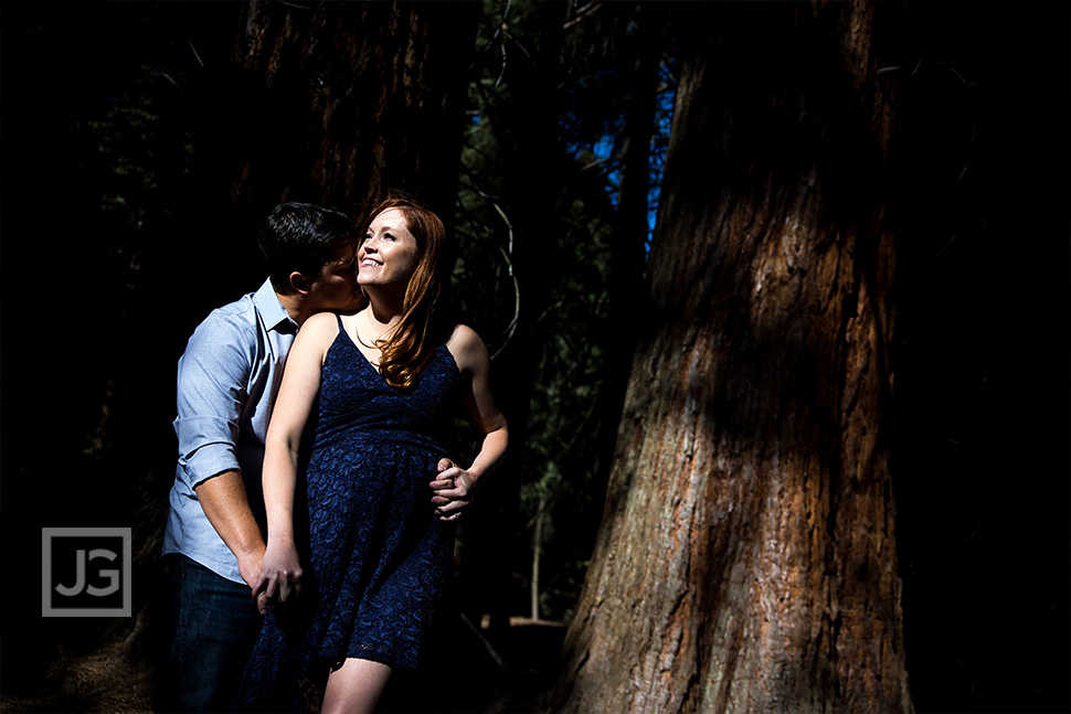 Dramatic Engagement Photo in the Forest