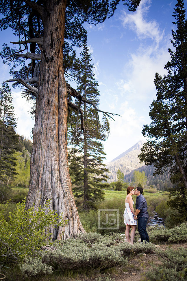 Sierra Nevada Engagement Photography