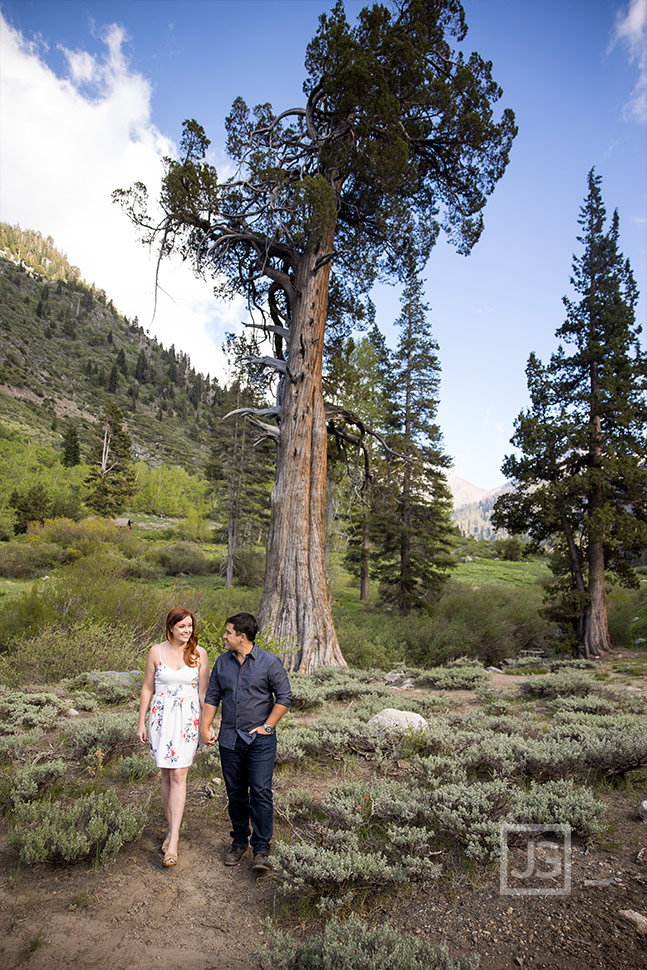 White Chief Trailhead