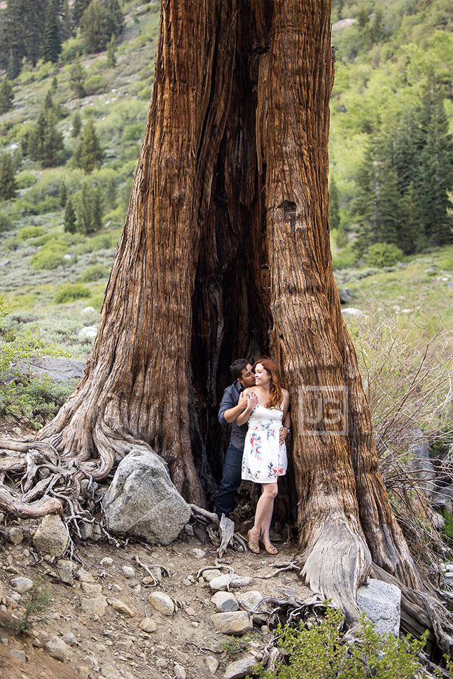 Sequoia Engagement Photos