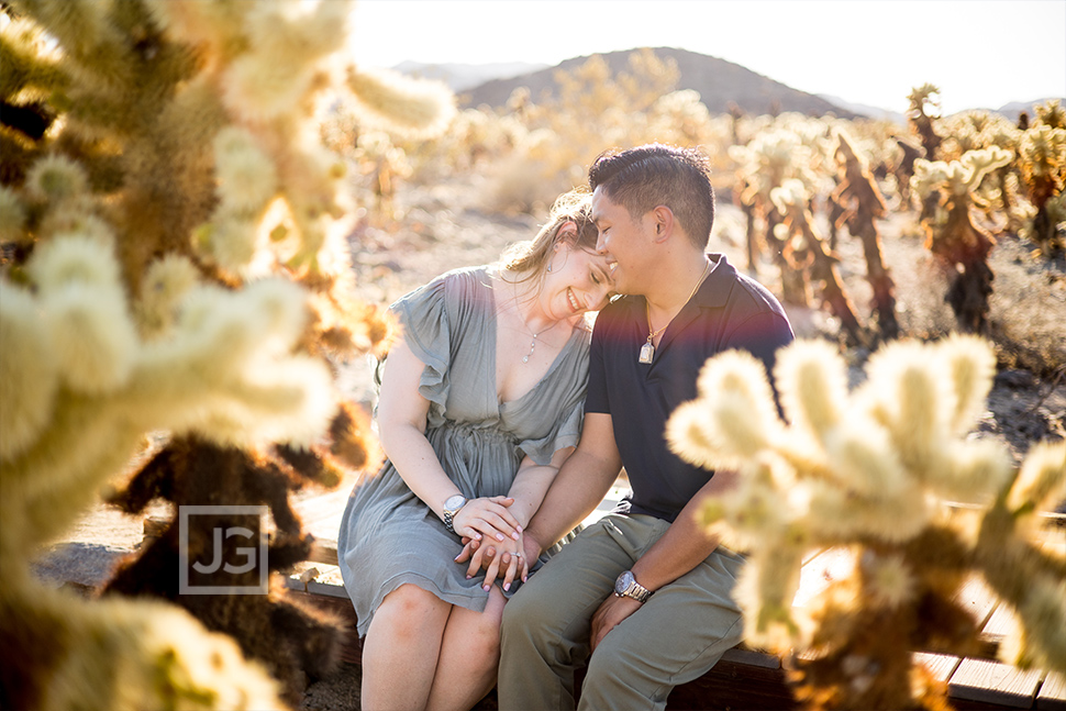 Cholla Cactus Engagement Photos