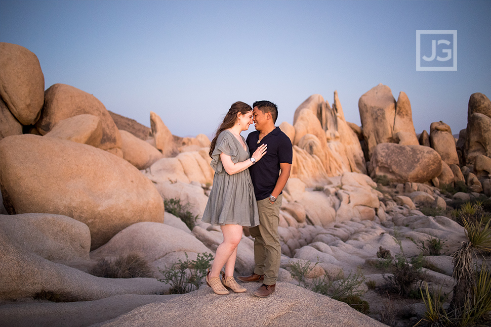 Joshua Tree Dusk Photo