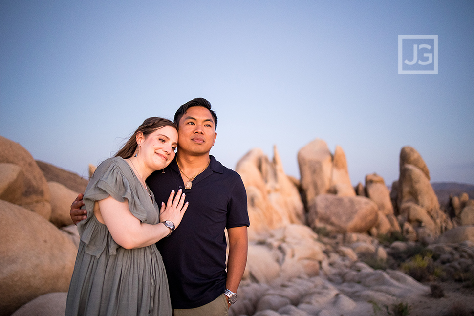 Joshua Tree Dusk Photo