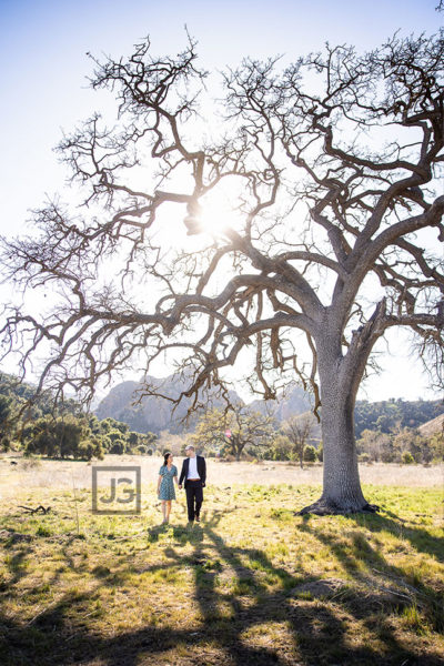 Read more about the article Malibu Creek State Park Engagement Photography, Malibu Beach