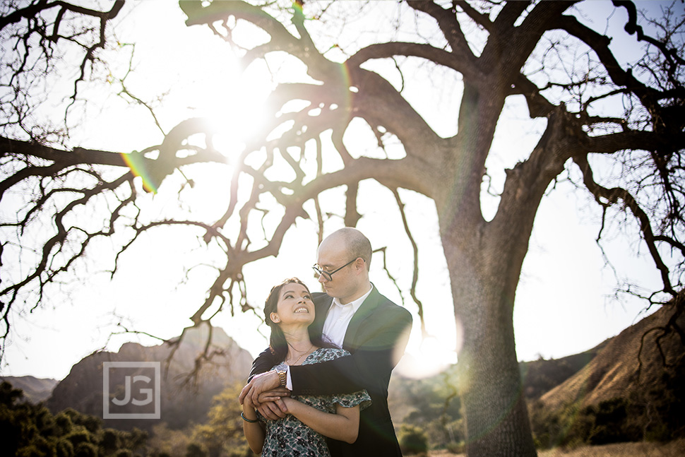 Malibu Creek Tree