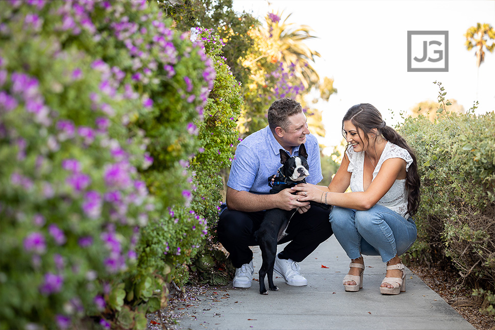 Cute Photo with French Bulldog