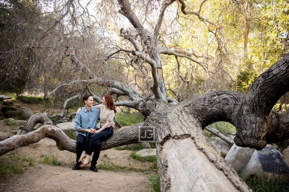 Couple Photo with Trees