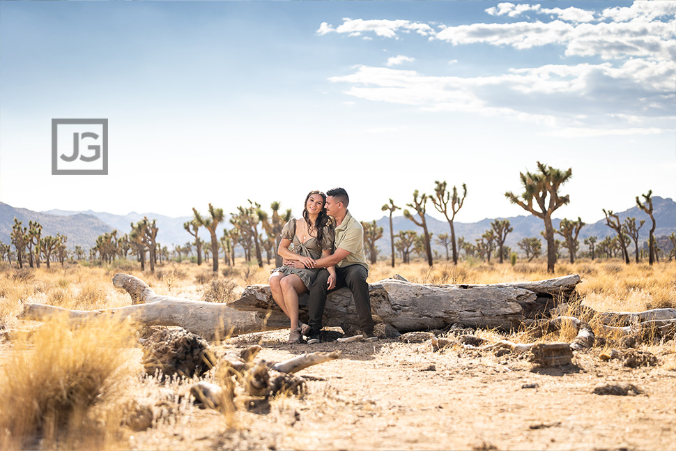 Joshua Tree Engagement Photography