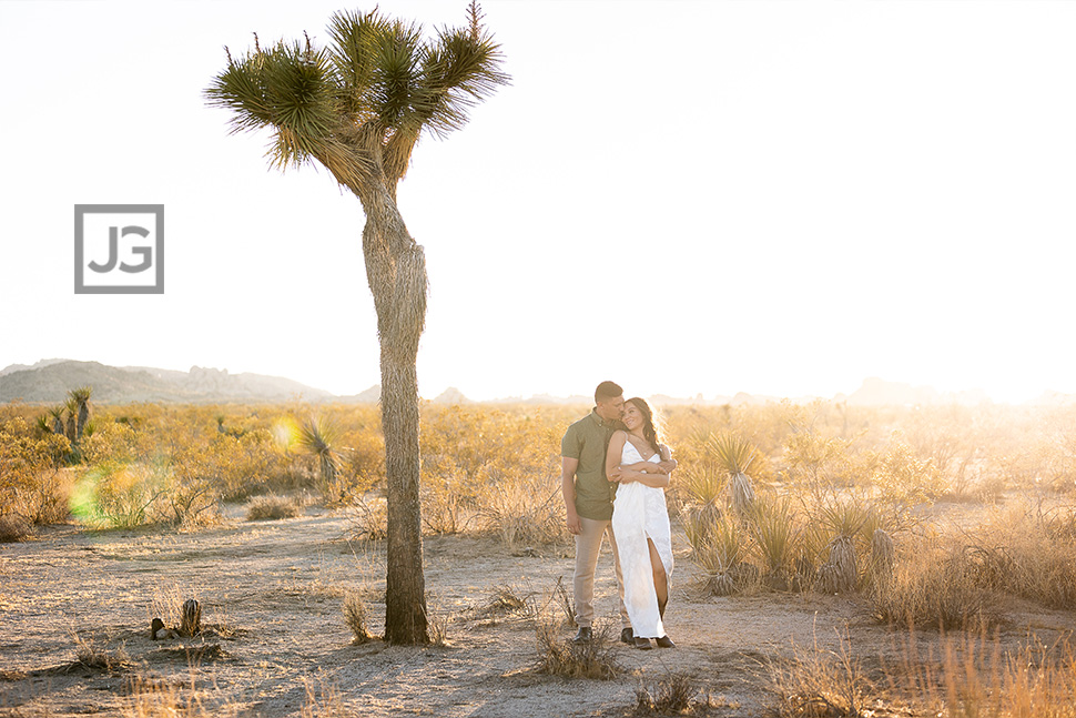 Joshua Trees