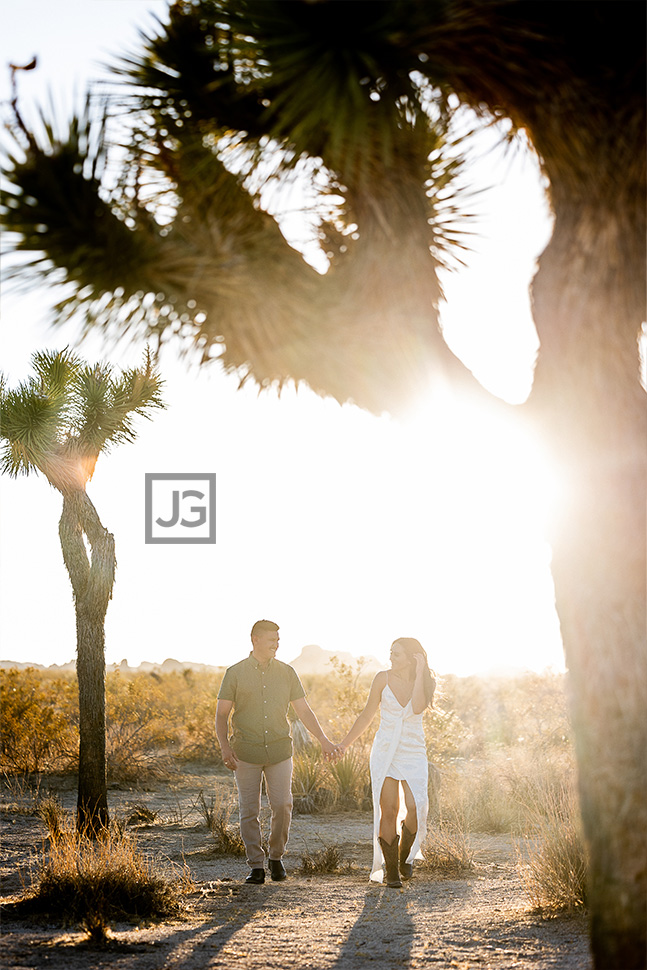 Photos in Joshua Tree