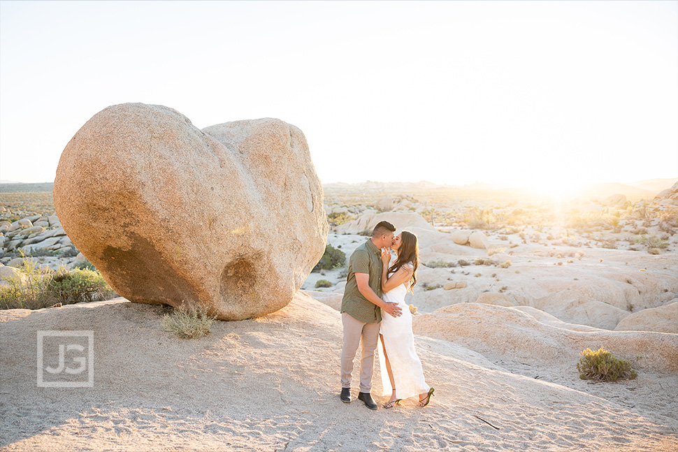 Joshua Tree Heart Rock